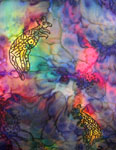 Silk Shawls featuring Inland Aboriginal designs