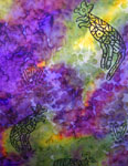 Silk Shawls featuring Inland Aboriginal designs