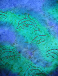 Square Silk Scarves featuring Dolphin designs