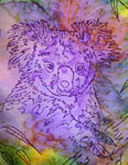 Long Silk Scarves featuring Koala designs