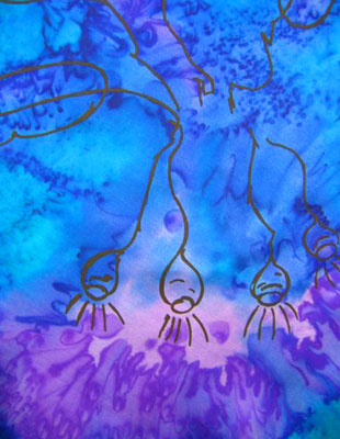 Pure Silk Scarves with Australian Flowering Gum designs