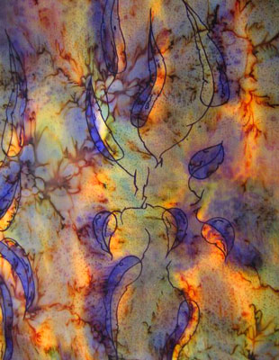 Long Silk Scarves with Australian Gum Leaf designs