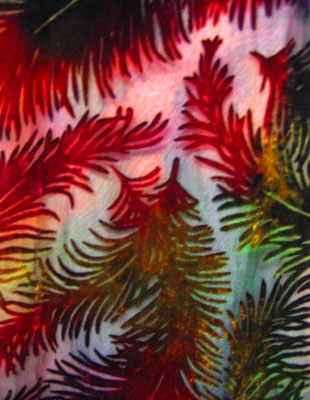 Devore Velvet Scarves in brilliant colours