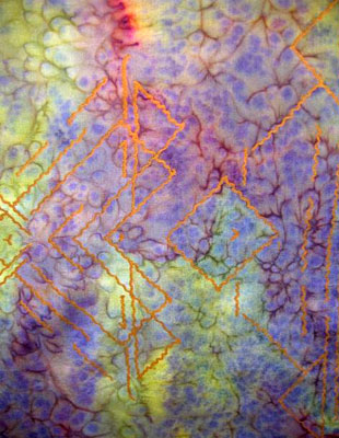 Silk Shawls featuring warp and weft designs