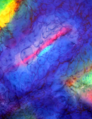 Long Silk Scarves painted in brilliant opal colours