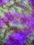 Square Silk Scarves featuring Blue Water Dreaming Aboriginal designs