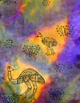 Long Silk Scarves featuring Inland Aboriginal designs