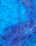 Long Silk Scarves featuring Dolphin designs