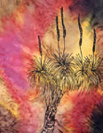 Square Silk Scarves featuring Kangaroo designs