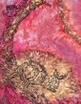 Square Silk Scarves featuring Kangaroo designs
