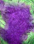 Long Silk Scarves featuring Koala designs