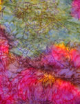 Square Silk Scarves featuring Koala designs