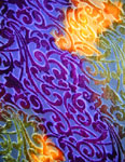 Devore Velvet painted Scarves
