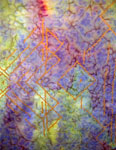 Silk Shawls featuring warp and weft designs