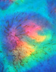 Silk Opal painted Long Scarves