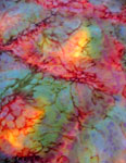 Pure Silk Opal painted Shawls
